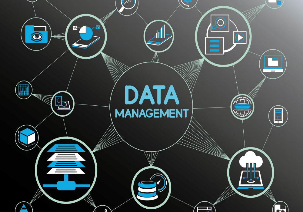 Data Management Los Angeles, CA | Data Processing | Data Entry Near Los Angeles